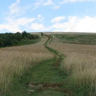 2011 08 - Max Patch